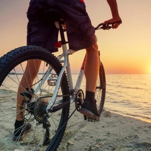 Beach Bike Adult Daily Rental