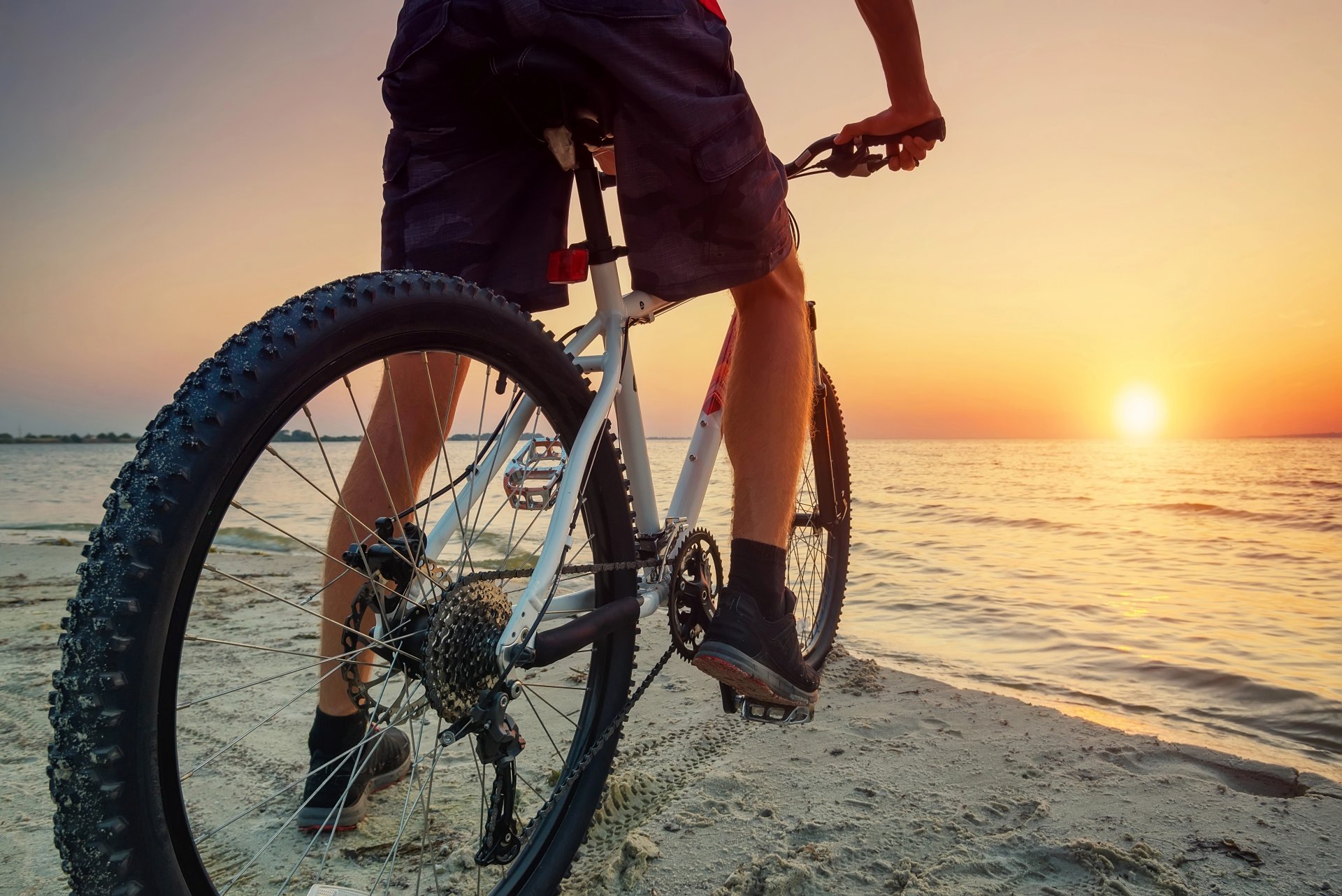 Beach Bike Adult Daily Rental